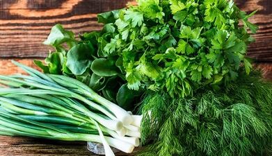 Les avantages de la hausse des verts augmentant leur efficacité