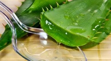 L'aloe vera augmente l'efficacité des hommes